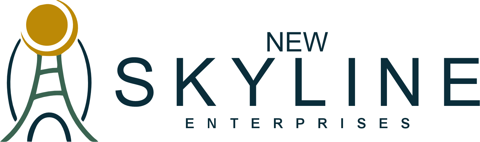 New Skyline Enterprises