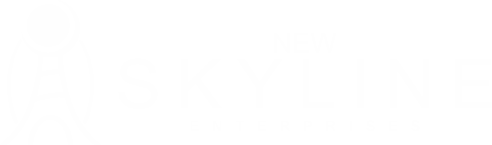 New Skyline Enterprises